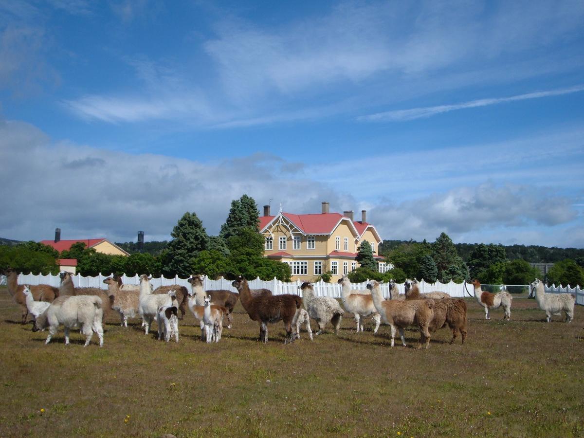 Estancia Rio Penitente Villa Tehuelche Εξωτερικό φωτογραφία